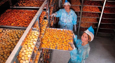 USAID выделило 13 миллионов долларов на решение проблемы отсутствия продовольственной безопасности в Таджикистане