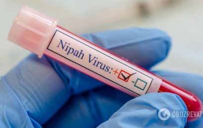 ВОЗ предупредила о возможности новой пандемии из-за вируса Nipah