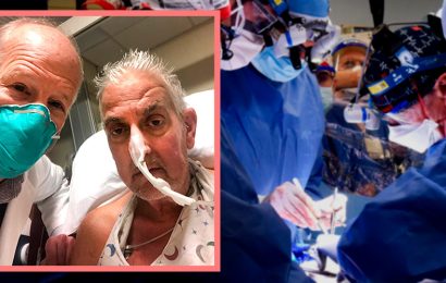 Человек с сердцем свиньи. Пациенту в США впервые в мире пересадили сердце животного