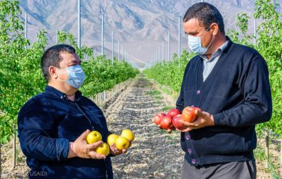 США поддерживают садоводов в Центральной Азии