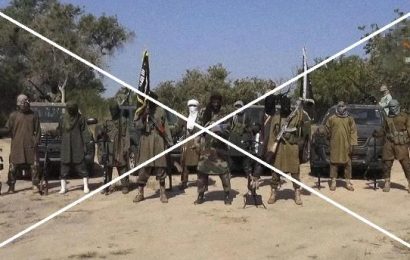 Террорист-шогирдони наҳзат дар Нигер