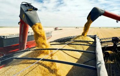 СМИ раскрыли подробности сделки по экспорту украинского зерна