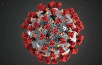 В Бразилии обнаружили три новые мутации штамма коронавируса «гамма»