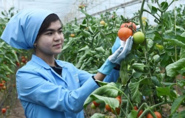 Таджикистан увеличил объём экспорта сельхозпродукции на 35,8{7c061182e4630fd4118117796950b820cf7cdbcf76c9b85aedb9fdbfaf5255a5}
