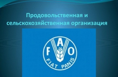 Срочная помощь таджикистанским фермерам, пострадавшим от COVID-19