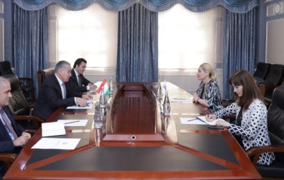 Встреча Министра иностранных дел с исполняющей обязанности Главы Программного офиса ОБСЕ в Душанбе