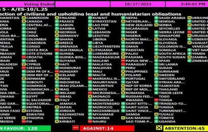 Генассамблея ООН приняла резолюцию о прекращении огня в Газе. Кто как проголосовал?
