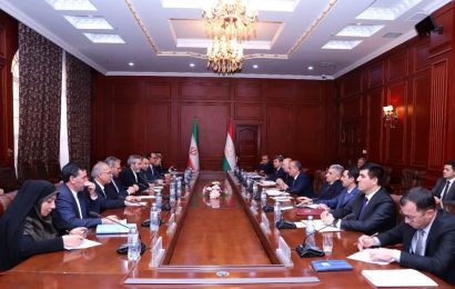 Заседание таджикско-иранского Политического комитета