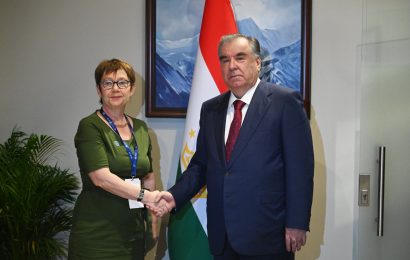Встреча Главы Таджикистана с президентом Европейского банка реконструкции и развития госпожой Одил Рено-Бассо