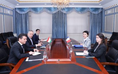 Встреча Министра иностранных дел Таджикистана с Послом Франции