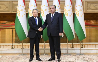 Встреча Президента Республики Таджикистан с Министром иностранных дел Кыргызской Республики