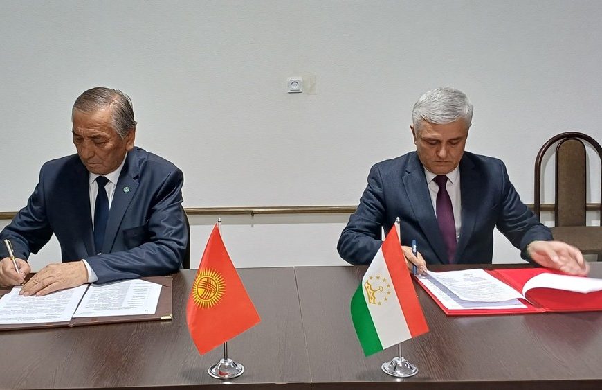 Таджикистан и Кыргызстан согласовали 28,37 км границы