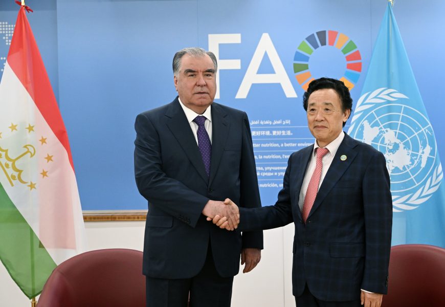 Президент Республики Таджикистан провел встречу с генеральным директором FAO