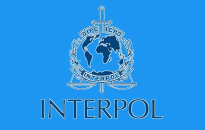 МВД Таджикистана: международное сотрудничество по линии INTERPOL