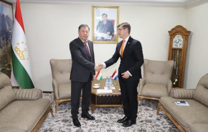 Встреча Министра внутренних дел РТ с Послом Королевства Нидерландов