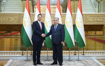 Президент Республики Таджикистан принял действующего председателя ОБСЕ