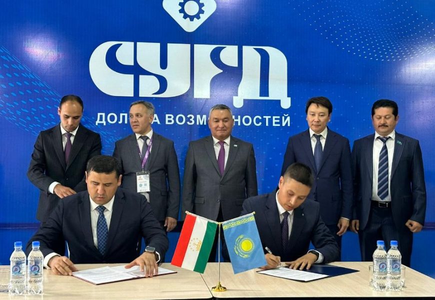 Регионы Казахстана и Таджикистана развивают сотрудничество