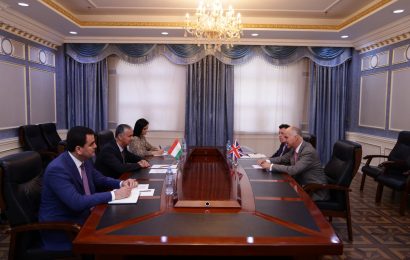 Встреча Первого замминистра иностранных дел Таджикистана с Послом Великобритании