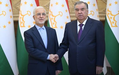 Встреча Президента Таджикистана с министром внутренних дел Ирана