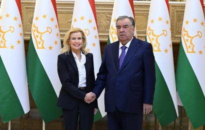 Встреча Президента Таджикистана  с Председателем Парламентской ассамблеи ОБСЕ