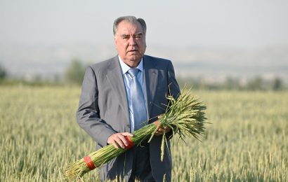 Лидер нации ознакомился с выращиванием сельхозкультур