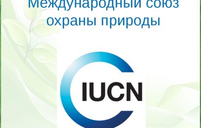МСОП планирует расширить сотрудничество с Таджикистаном по мониторингу ледников и водных ресурсов