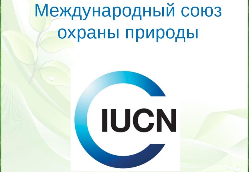 МСОП планирует расширить сотрудничество с Таджикистаном по мониторингу ледников и водных ресурсов