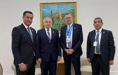 Встреча Министра иностранных дел РТ с Региональным Директором Офиса IOM для ЦА и Европы