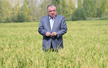 Рабочая поездка Лидера нации в город Турсунзаде