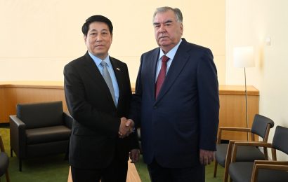 Встреча Президента РТ с Президентом Вьетнама