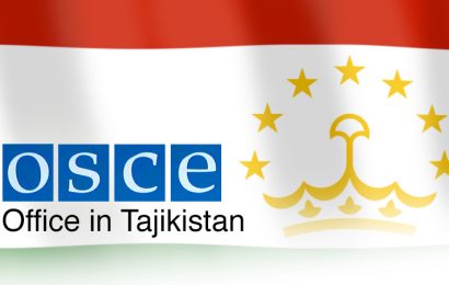 Встреча Первого замминистра иностранных дел РТ с Генсеком ОБСЕ