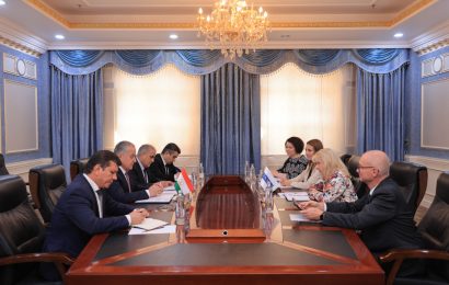Вазири корҳои хориҷии Ҷумҳурии Тоҷикистон бо фиристодаи вежаи раёсати амалкунандаи САҲА мулоқот намуд