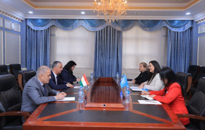Встреча Первого замминистра иностранных дел РТ с главой ООН-Женщины (UN-Women)