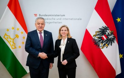 Встреча Министра иностранных дел РТ с Федеральным министром европейских и международных дел Австрии