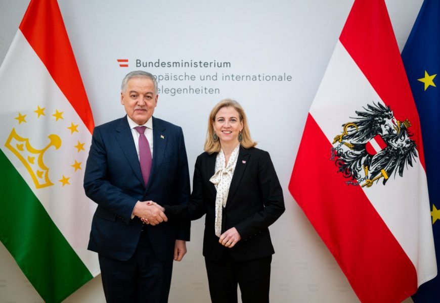 Встреча Министра иностранных дел РТ с Федеральным министром европейских и международных дел Австрии Встреча Министра иностранных дел РТ с Федеральным министром европейских и международных дел Австрии