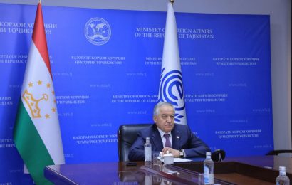 Иштироки Сироҷиддин Муҳриддин дар ҷаласаи Созмони ҳамкории иқтисодӣ