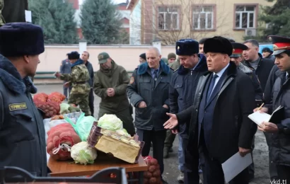 ВКД ҶТ: Намоиш-фурӯши маҳсулоти ғизоӣ бахшида ба Соли нави мелодӣ ВКД ҶТ: Намоиш-фурӯши маҳсулоти ғизоӣ бахшида ба Соли нави мелодӣ