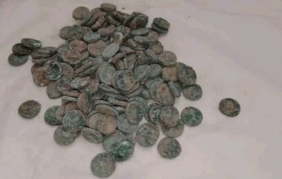 В Шахритусе нашли клад кушанских монет I века н. э. В Шахритусе нашли клад кушанских монет I века н. э.