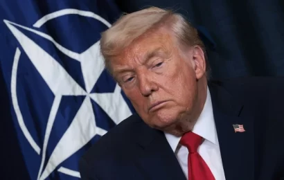 В Нидерландах возмутились заявлением Трампа о союзниках НАТО в Афганистане В Нидерландах возмутились заявлением Трампа о союзниках НАТО в Афганистане