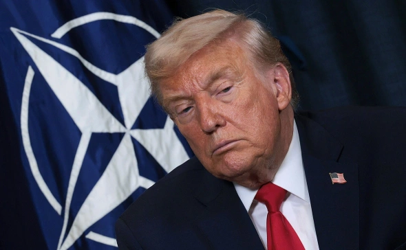 В Нидерландах возмутились заявлением Трампа о союзниках НАТО в Афганистане В Нидерландах возмутились заявлением Трампа о союзниках НАТО в Афганистане