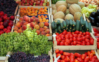 Тоҷикистон–Русия: тақвияти содироти маҳсулоти кишоварзӣ Тоҷикистон–Русия: тақвияти содироти маҳсулоти кишоварзӣ