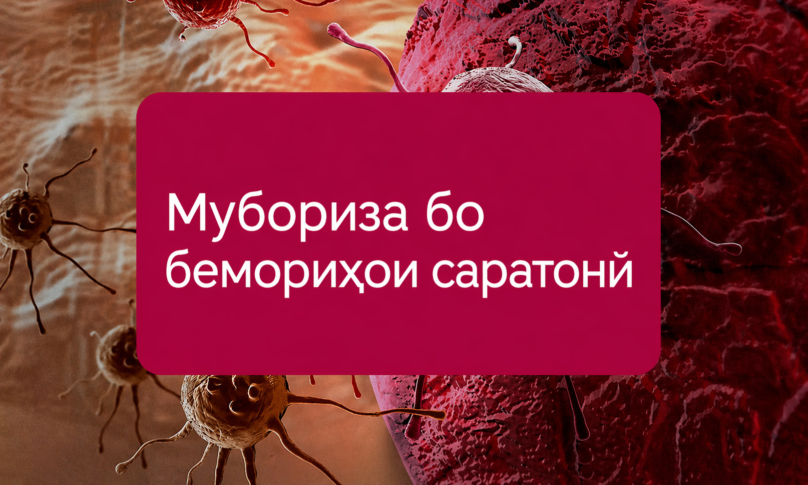 «Муҷаҳҳазгардонӣ ва рушди Маркази ҷумҳуриявии илмии саратоншиносии шаҳри Душанбе» «Муҷаҳҳазгардонӣ ва рушди Маркази ҷумҳуриявии илмии саратоншиносии шаҳри Душанбе»