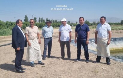 Узбекистан и Таджикистан расширяют научное сотрудничество в сфере выращивания хлопка Узбекистан и Таджикистан расширяют научное сотрудничество в сфере выращивания хлопка