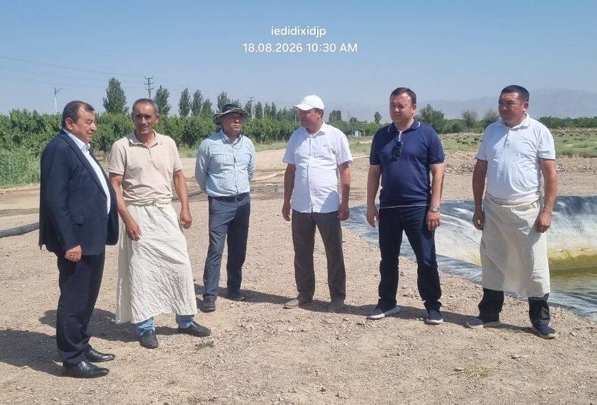 Узбекистан и Таджикистан расширяют научное сотрудничество в сфере выращивания хлопка Узбекистан и Таджикистан расширяют научное сотрудничество в сфере выращивания хлопка