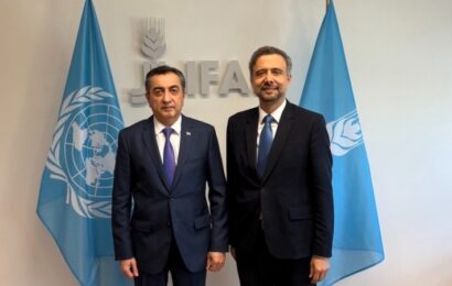 Встреча первого замминистра иностранных дел РТ с Президентом IFAD Встреча первого замминистра иностранных дел РТ с Президентом IFAD