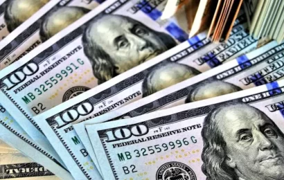 Национальный банк Таджикистана: Итоги валютных интервенций Национальный банк Таджикистана: Итоги валютных интервенций